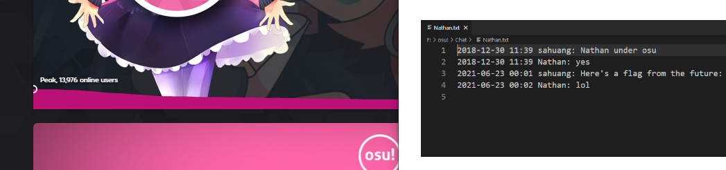 screenshot of challenge with the flag cutoff